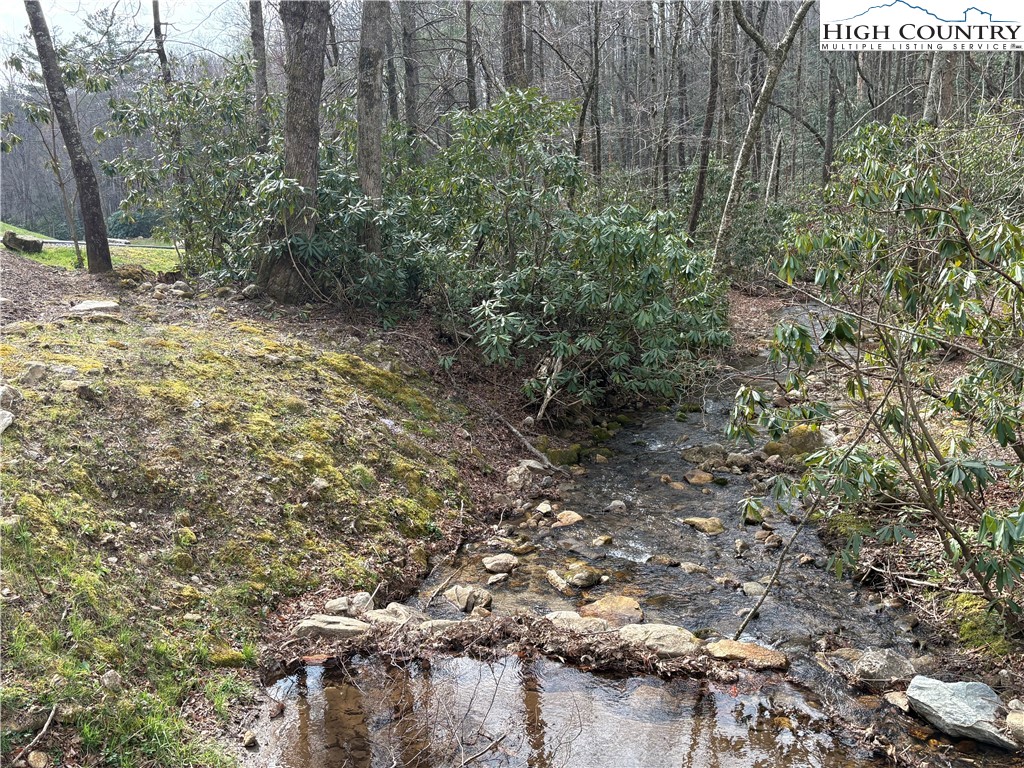 Tbd Angelfire Trail Property Photo 21