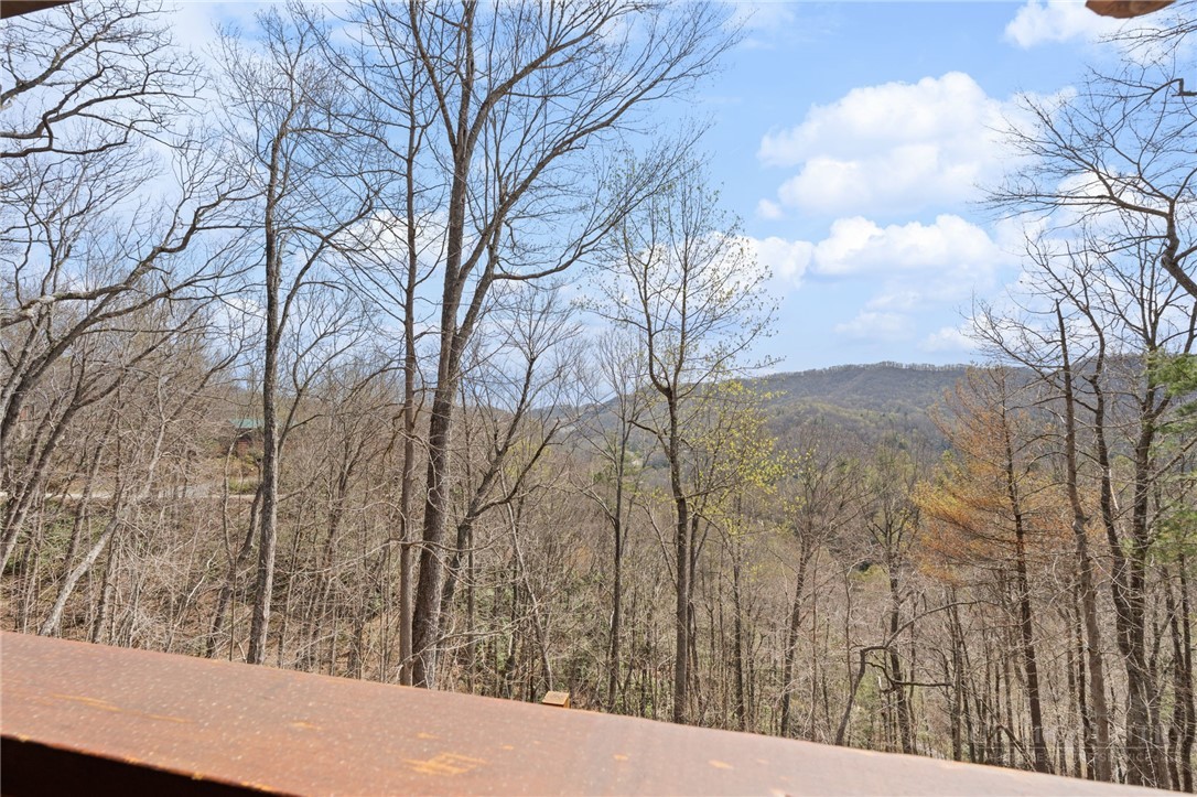 871 Willow Mountain Property Photo 3