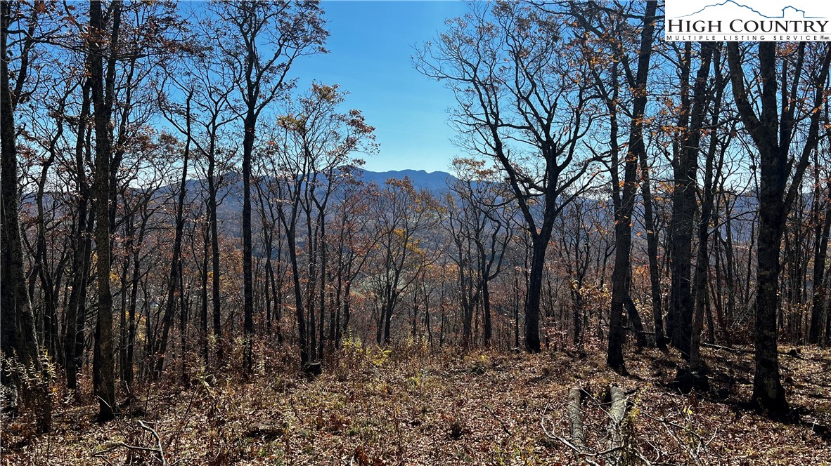 Lot 2 Chappell Farm Road Property Photo 3