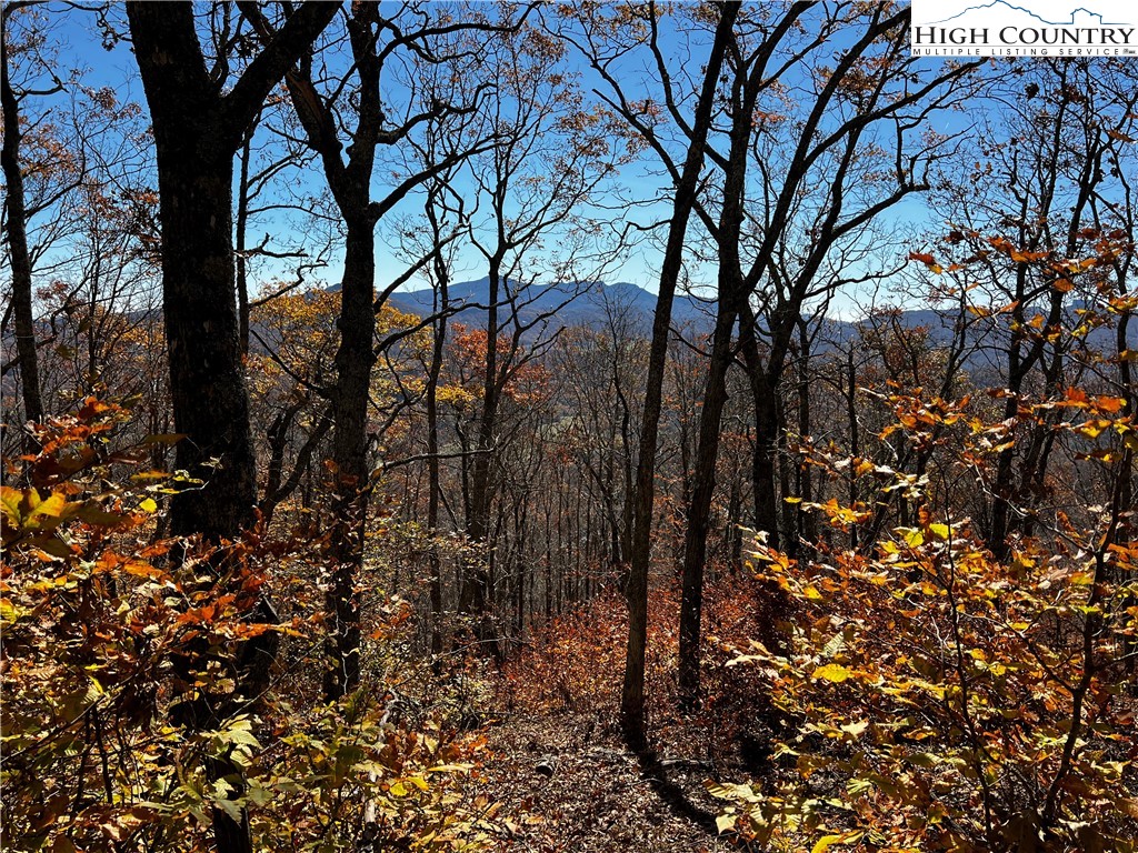 Lot 2 Chappell Farm Road Property Photo 6
