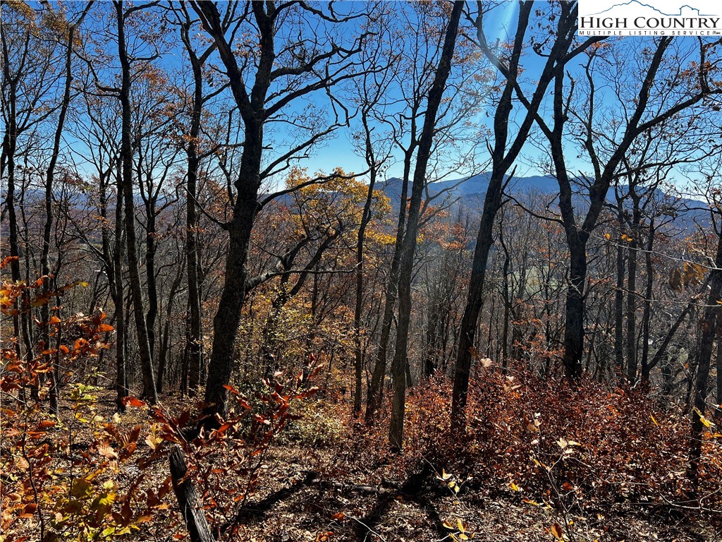 Lot 2 Chappell Farm Road Property Photo 8