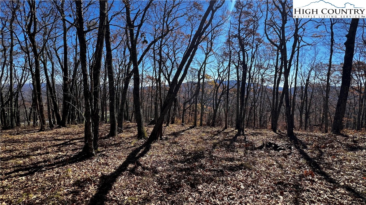 Lot 2 Chappell Farm Road Property Photo 10