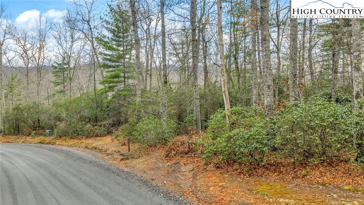 75 Trailwood Drive Property Photo 1