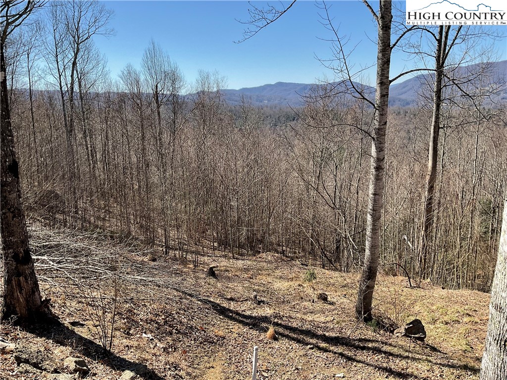 Tbd Lot 8 Heritage Ridge Drive Property Photo 1