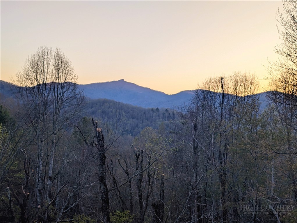 Tbd Daisy Ridge #20 Road Property Photo 1