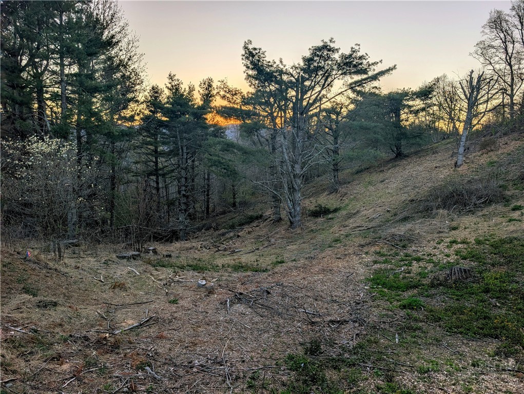 Tbd Daisy Ridge #20 Road Property Photo 2