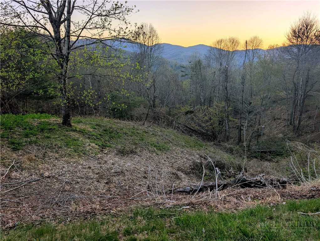 Tbd Daisy Ridge #20 Road Property Photo 3