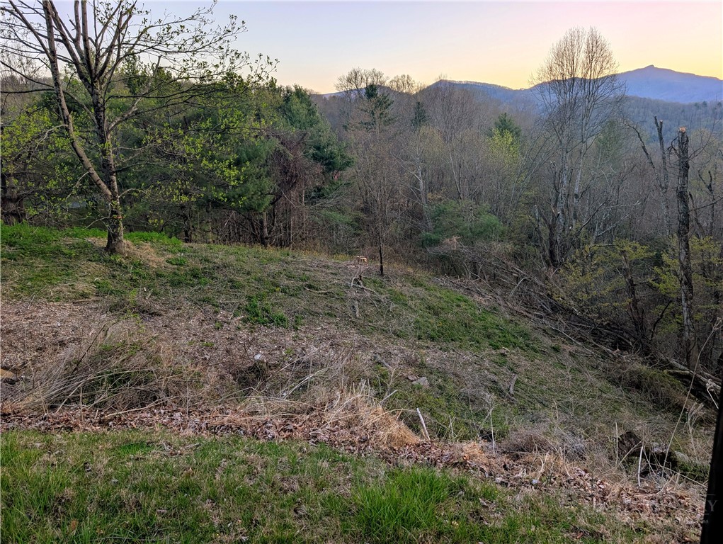 Tbd Daisy Ridge #20 Road Property Photo 4