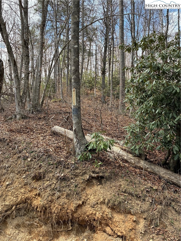 Tbd Meadowfork Road Property Photo 3