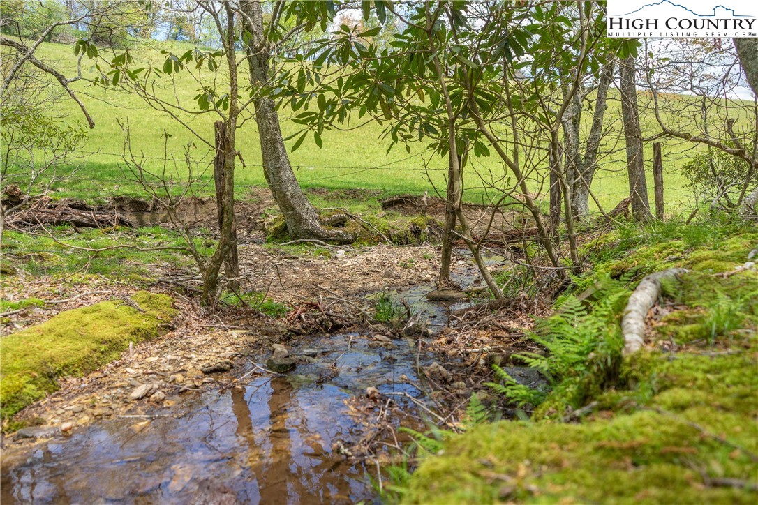 204 Huckleberry Trail Property Photo 40
