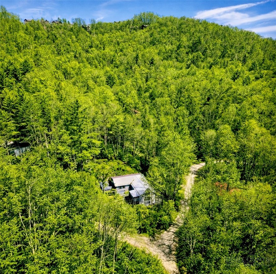 913 Winterberry Trail Property Photo 43