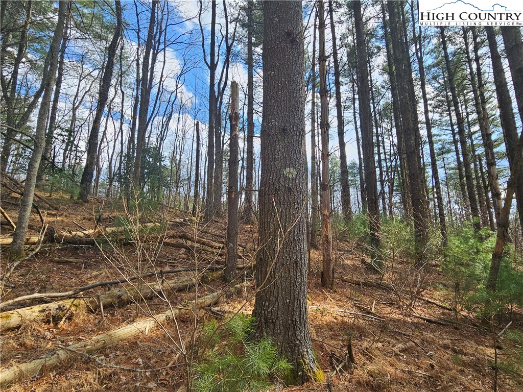 Tbd Panorama Drive Property Photo 1