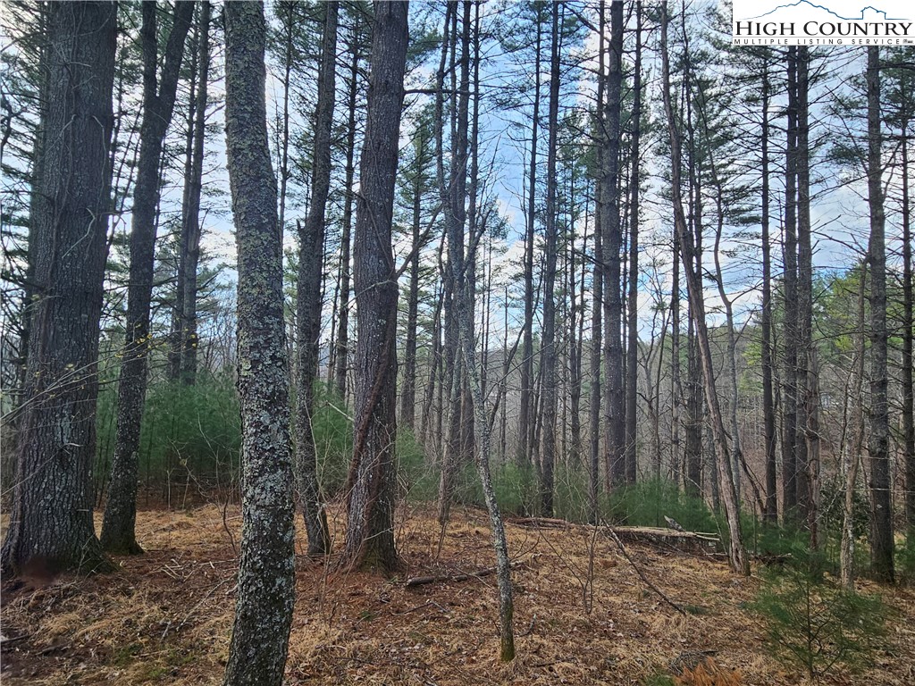 Tbd Panorama Drive Property Photo 2