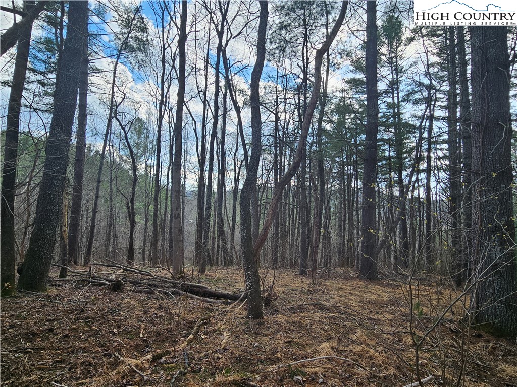 Tbd Panorama Drive Property Photo 3