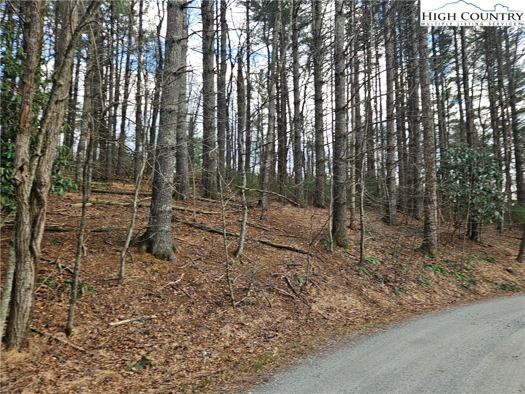 Tbd Panorama Drive Property Photo 4