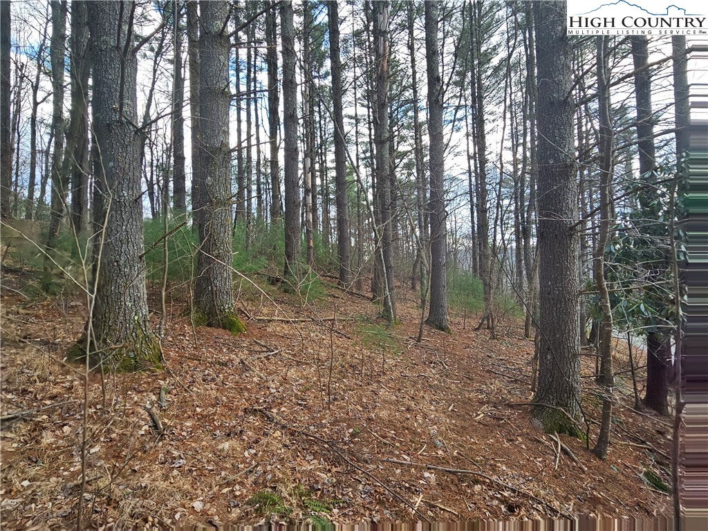 Tbd Panorama Drive Property Photo 6