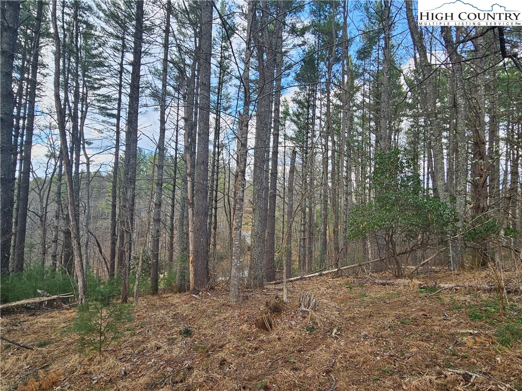 Tbd Panorama Drive Property Photo 7