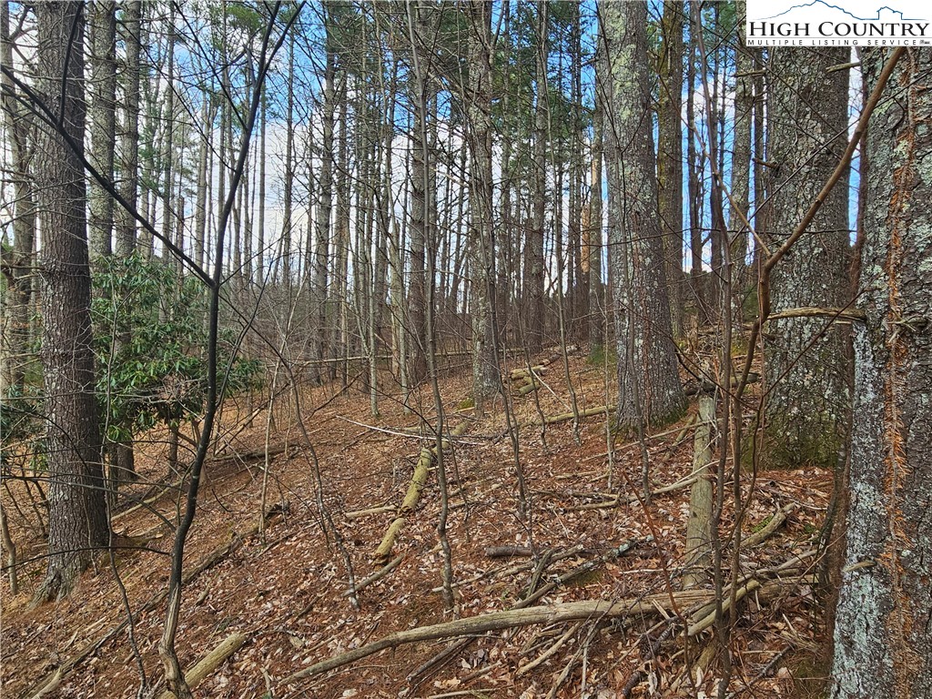 Tbd Panorama Drive Property Photo 8