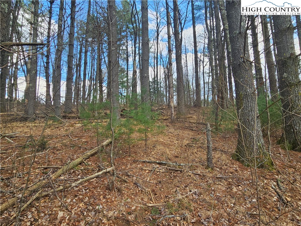 Tbd Panorama Drive Property Photo 9