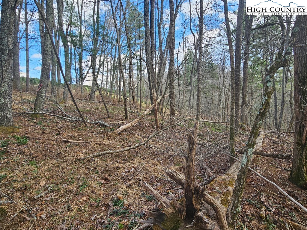 Tbd Panorama Drive Property Photo 10