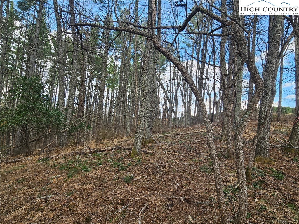 Tbd Panorama Drive Property Photo 12