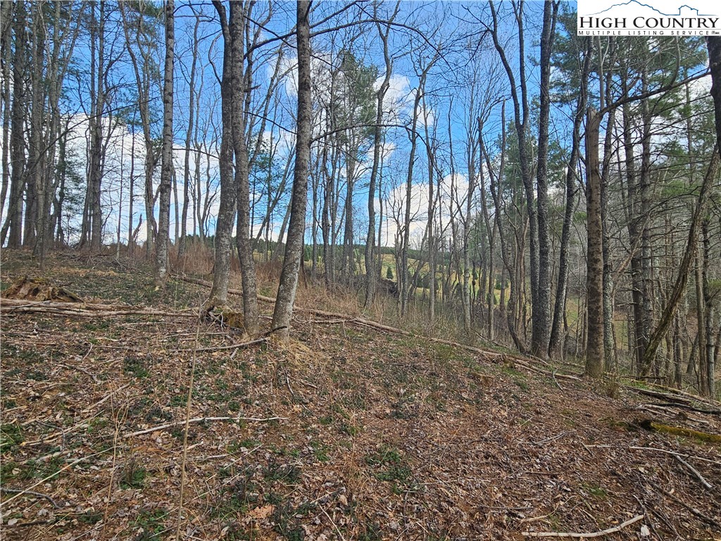 Tbd Panorama Drive Property Photo 13