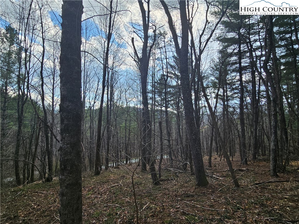 Tbd Panorama Drive Property Photo 14