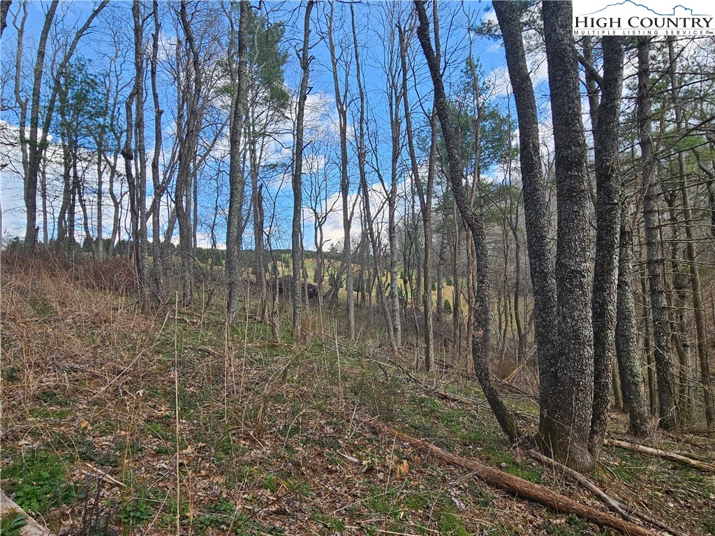 Tbd Panorama Drive Property Photo 15