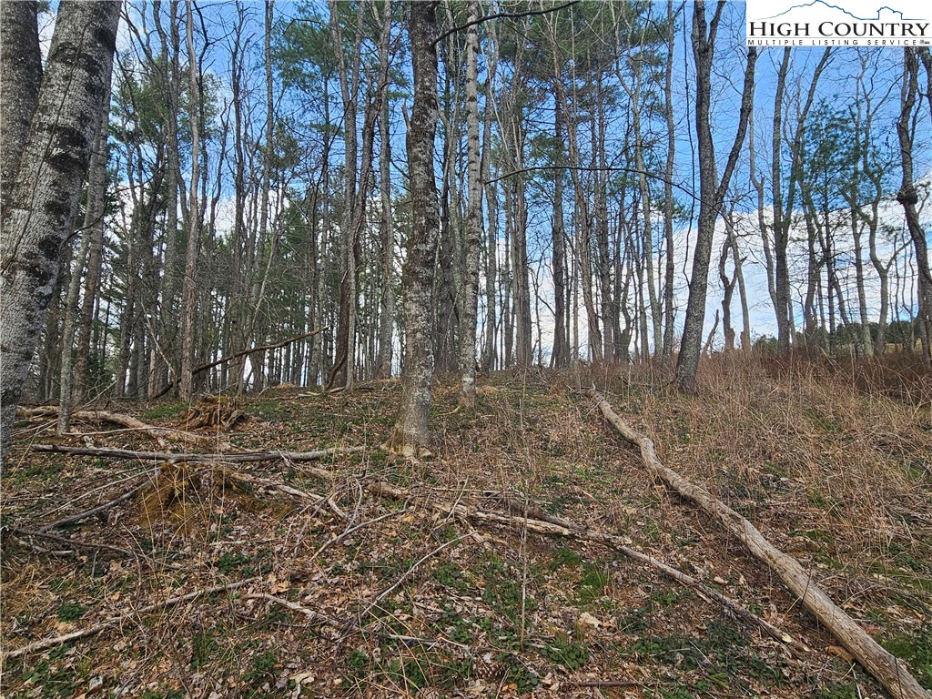 Tbd Panorama Drive Property Photo 16