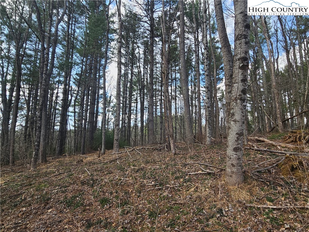 Tbd Panorama Drive Property Photo 17