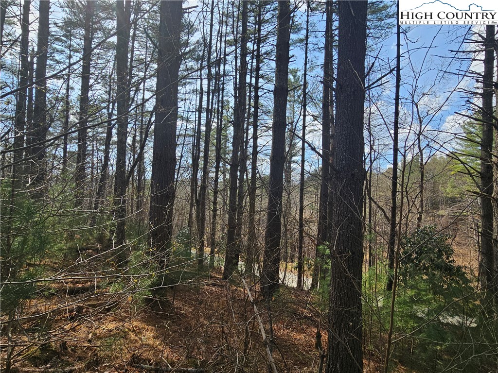 Tbd Panorama Drive Property Photo 19