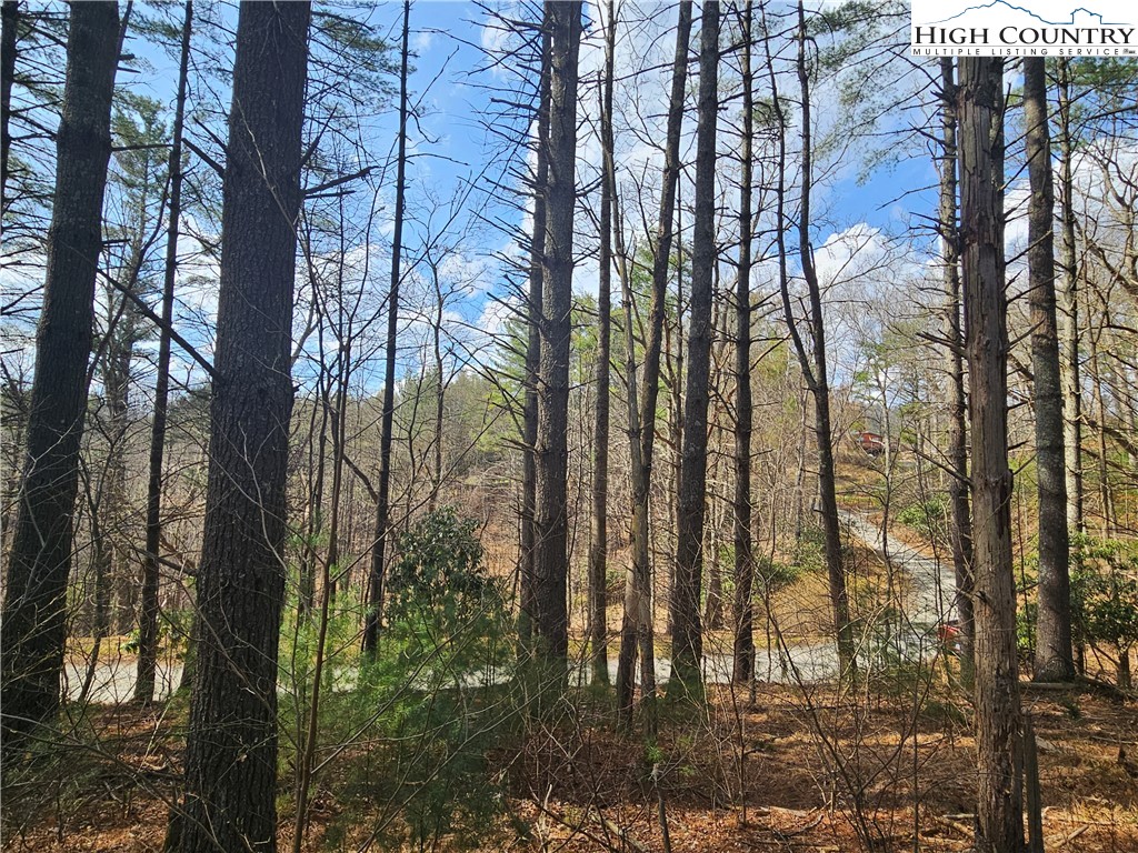 Tbd Panorama Drive Property Photo 20