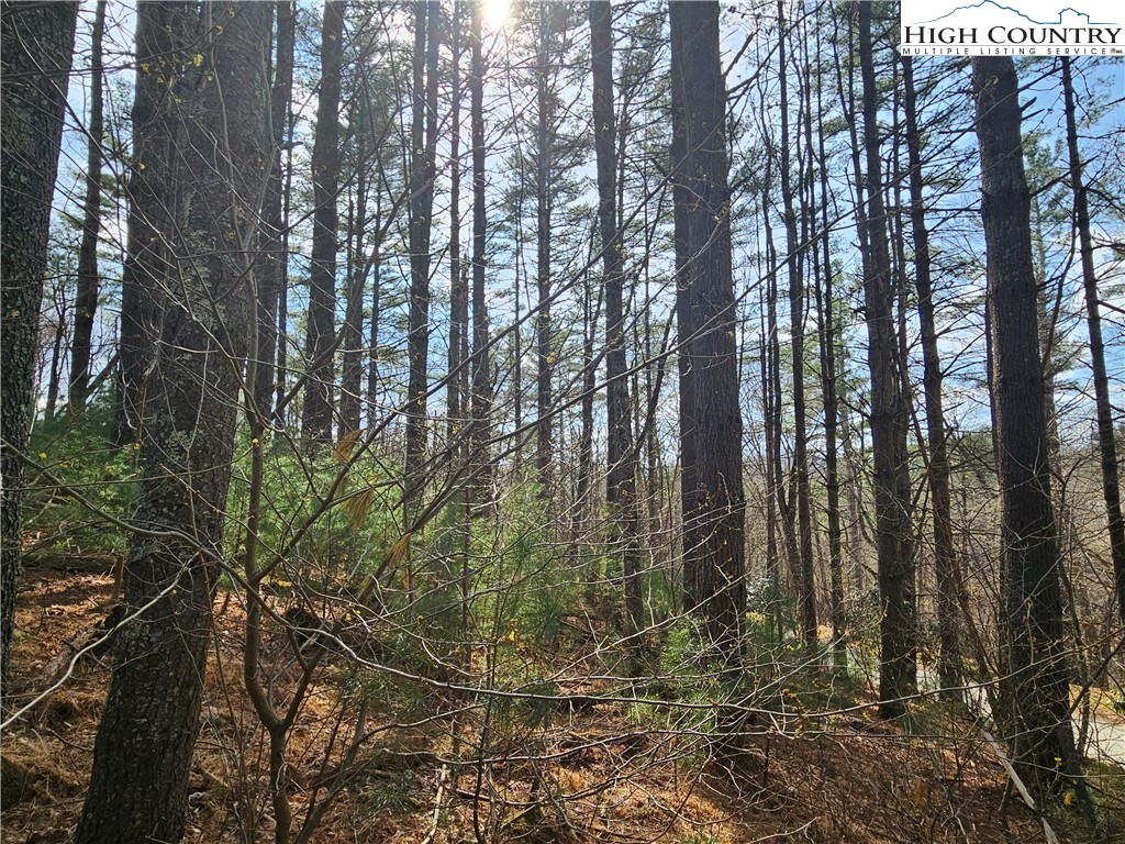 Tbd Panorama Drive Property Photo 21