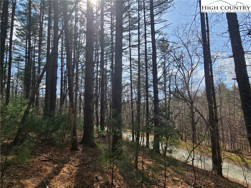 Tbd Panorama Drive Property Photo 22
