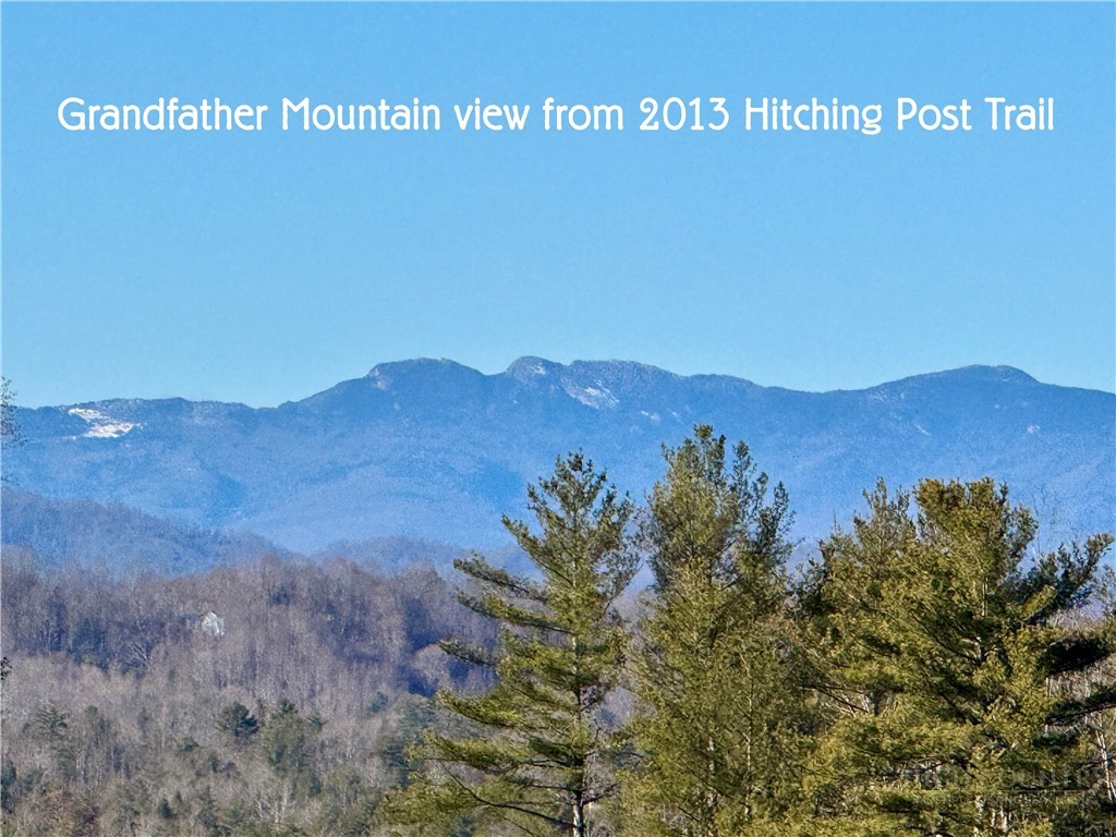 2013 Hitching Post Trail Property Photo 12