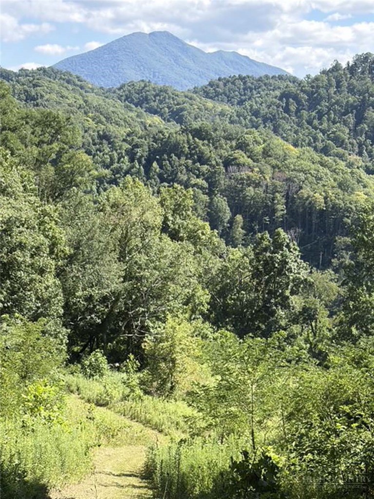 Tbd Big Laurel Road Property Photo 3