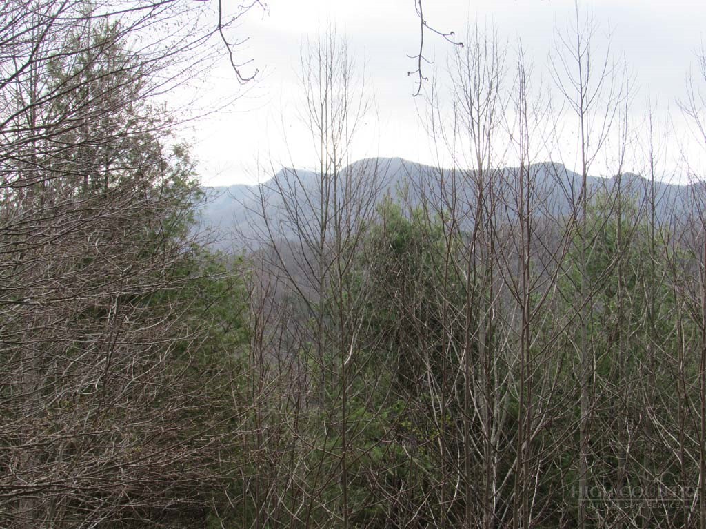 Tbd Big Laurel Road Property Photo 8