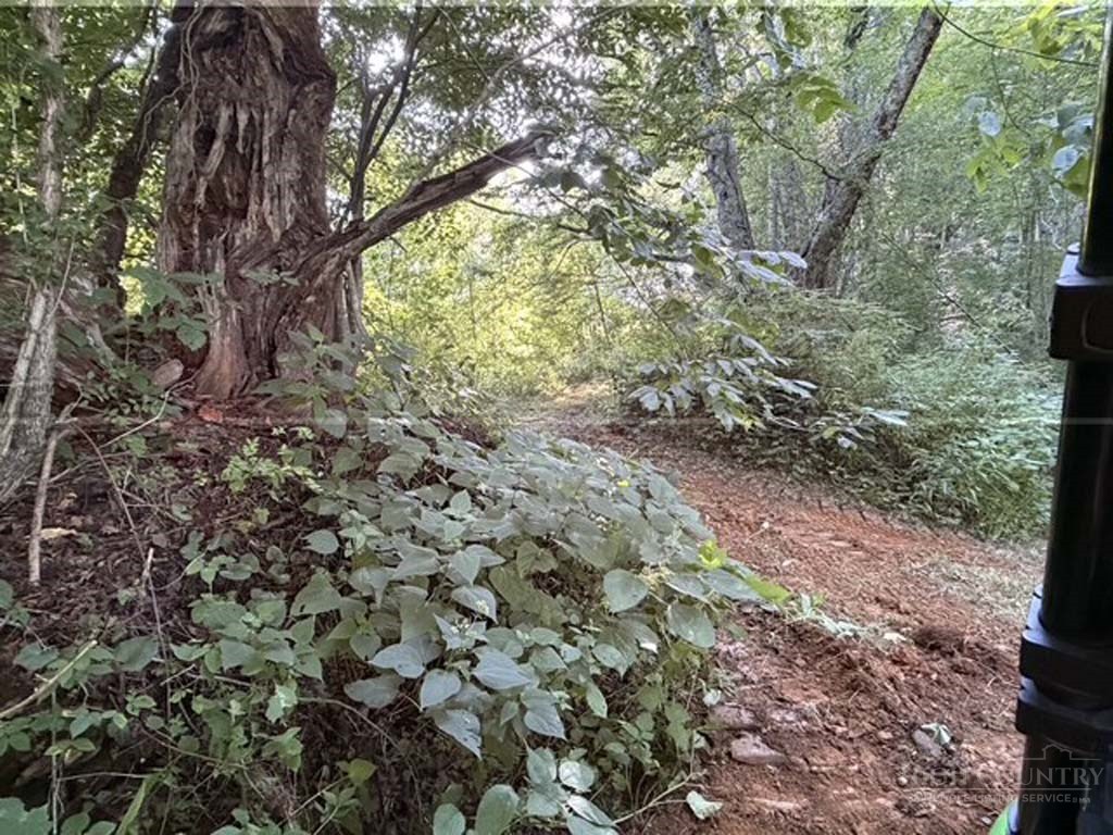 Tbd Big Laurel Road Property Photo 10