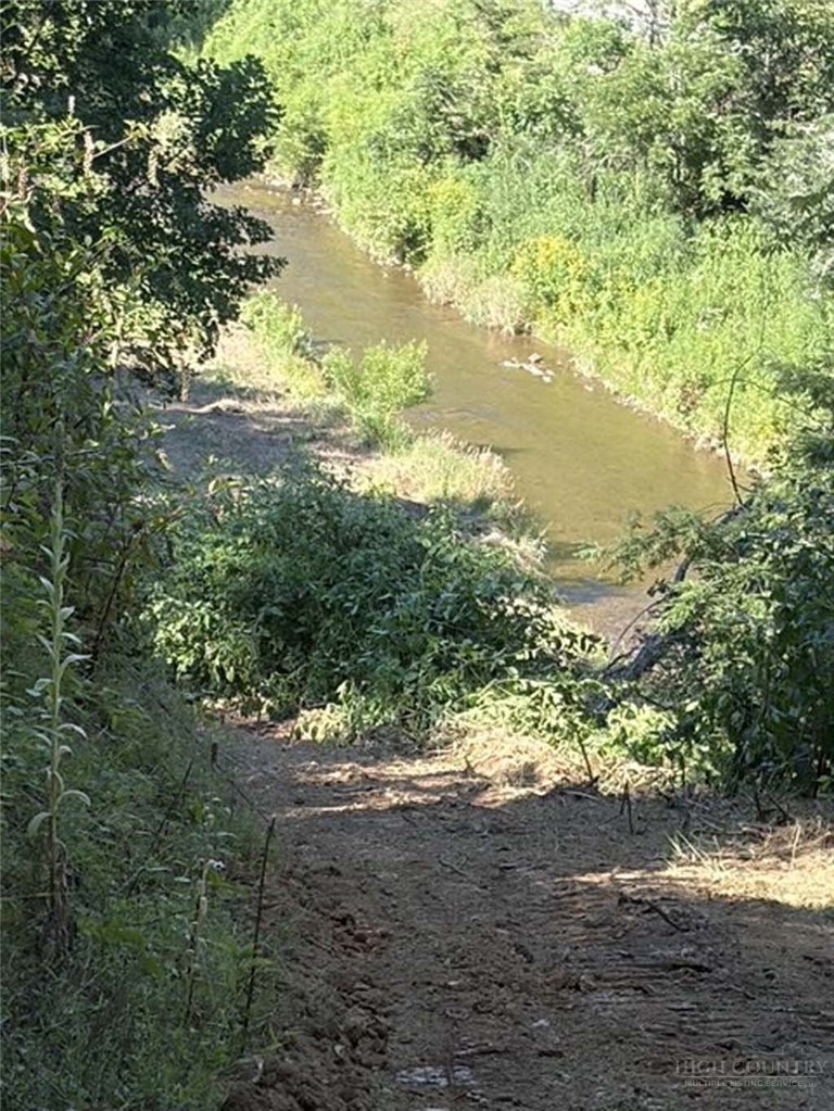 Tbd Big Laurel Road Property Photo 12