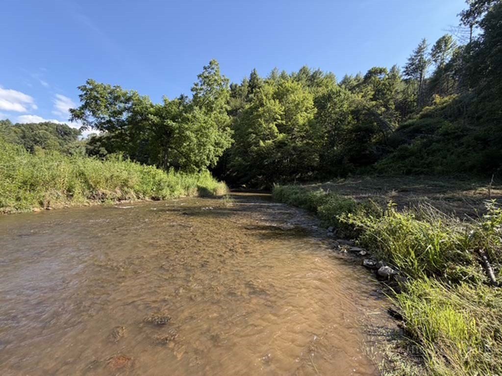 Tbd Big Laurel Road Property Photo 14