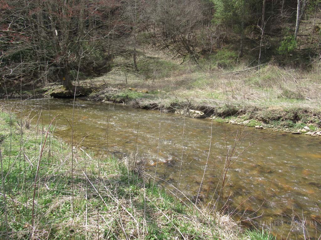 Tbd Big Laurel Road Property Photo 15