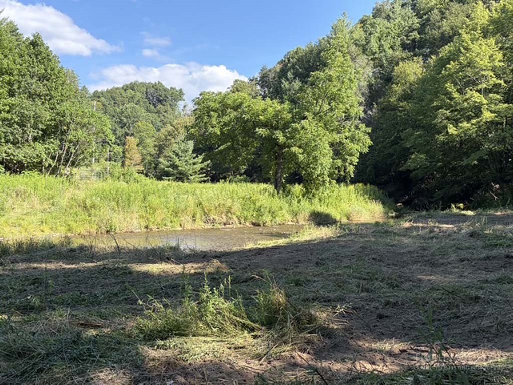Tbd Big Laurel Road Property Photo 16