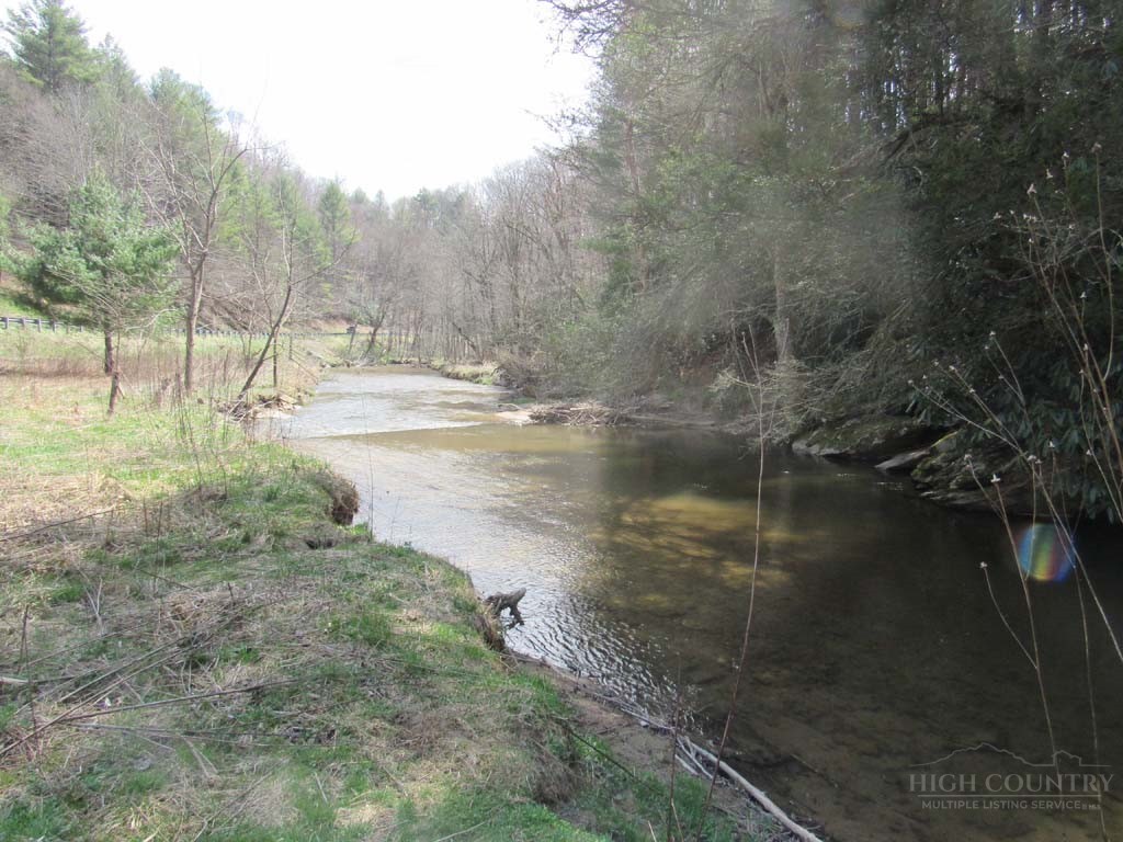 Tbd Big Laurel Road Property Photo 18