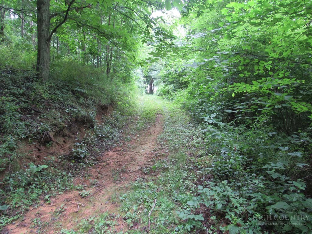 Tbd Big Laurel Road Property Photo 19
