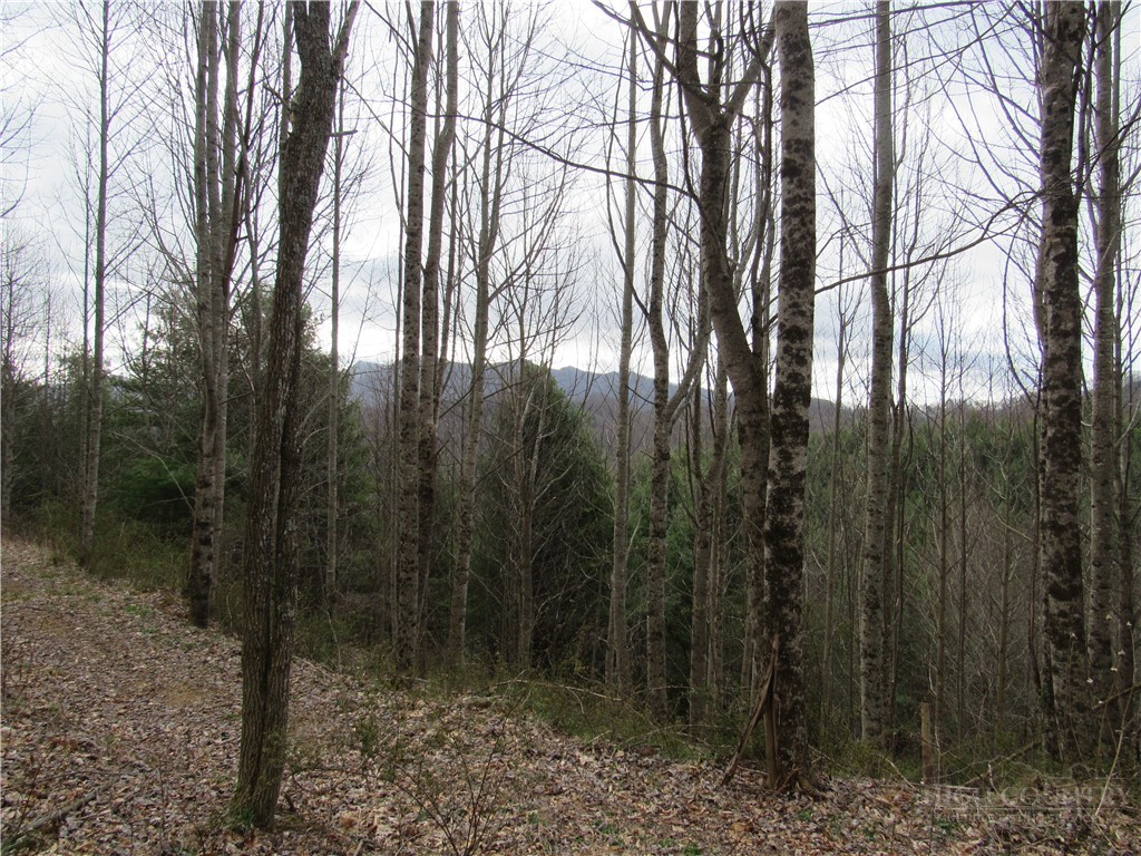 Tbd Big Laurel Road Property Photo 20