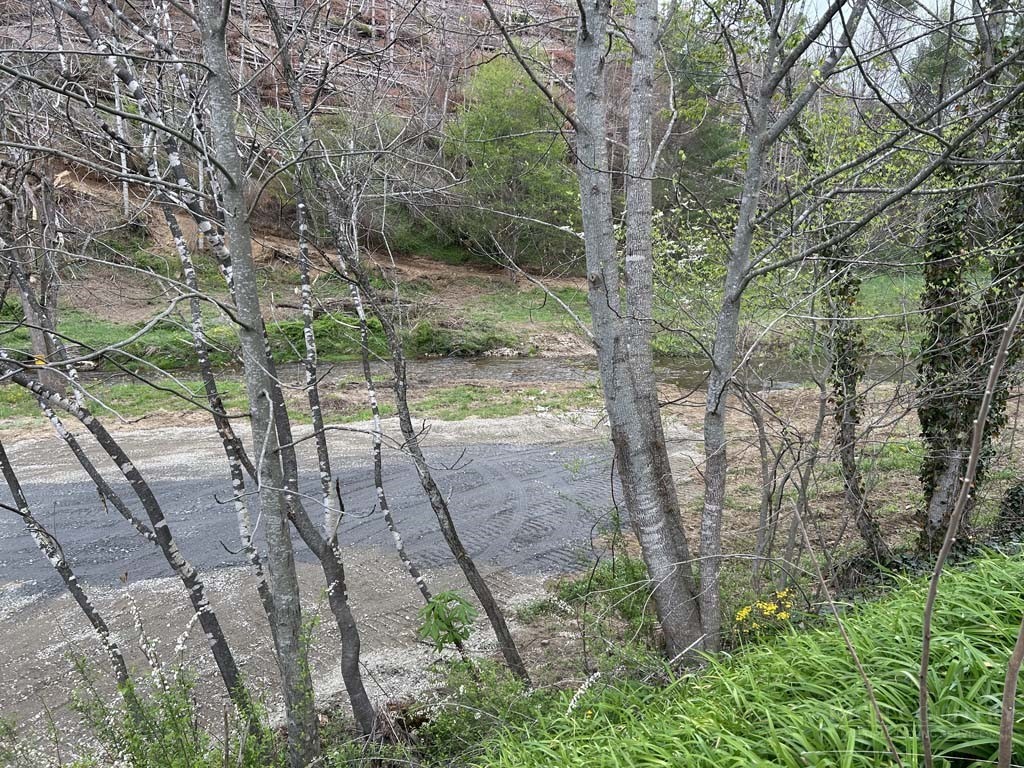 Tbd Big Laurel Road Property Photo 21