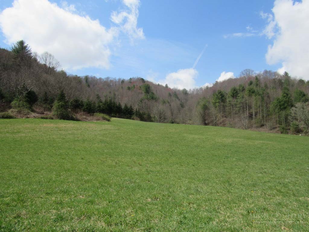 Tbd Big Laurel Road Property Photo 24