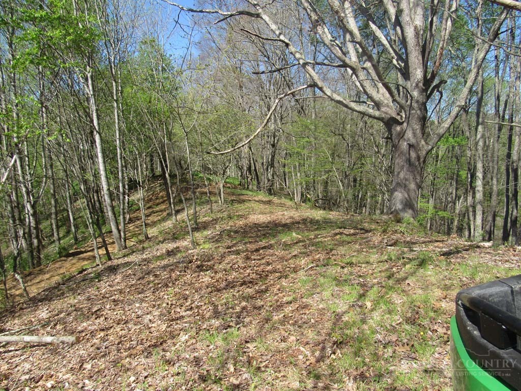 Tbd Big Laurel Road Property Photo 25