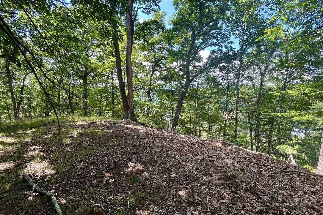 180 Riverwood Lane Property Photo 42