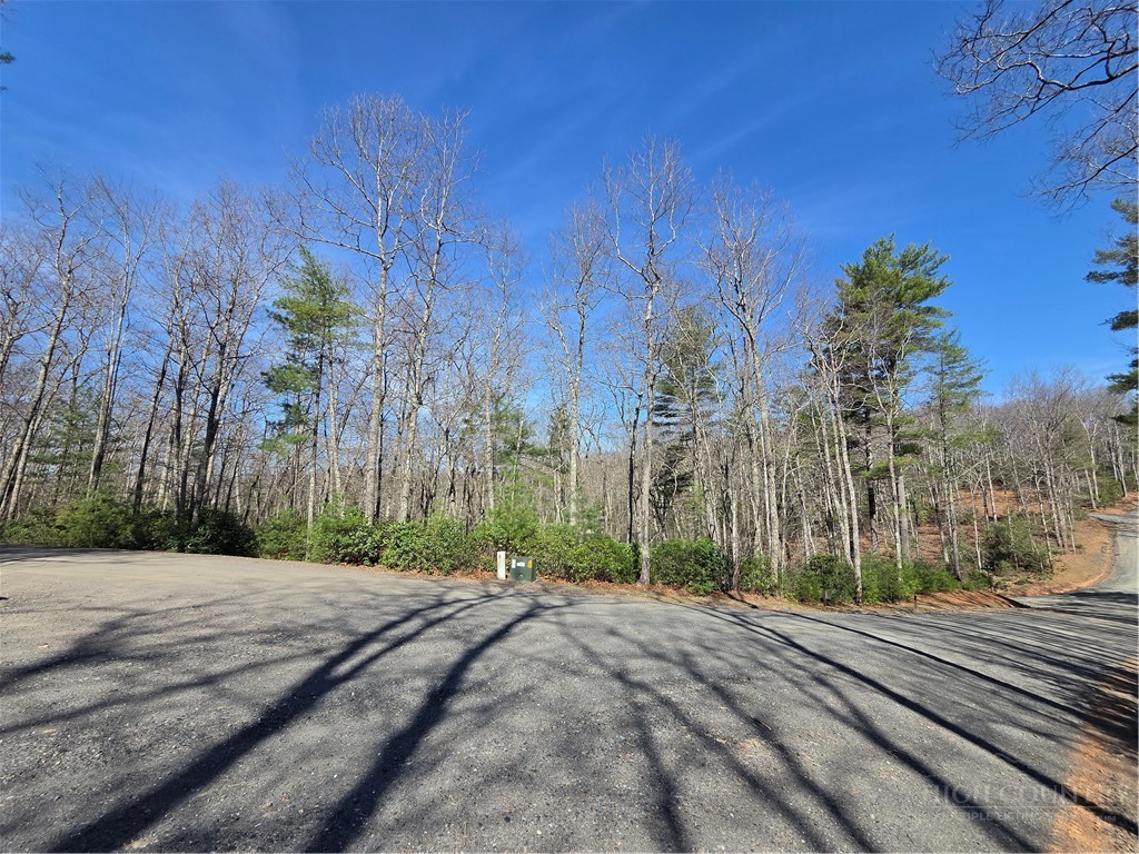 Lot 35 Smoke Rise Path Property Photo 1